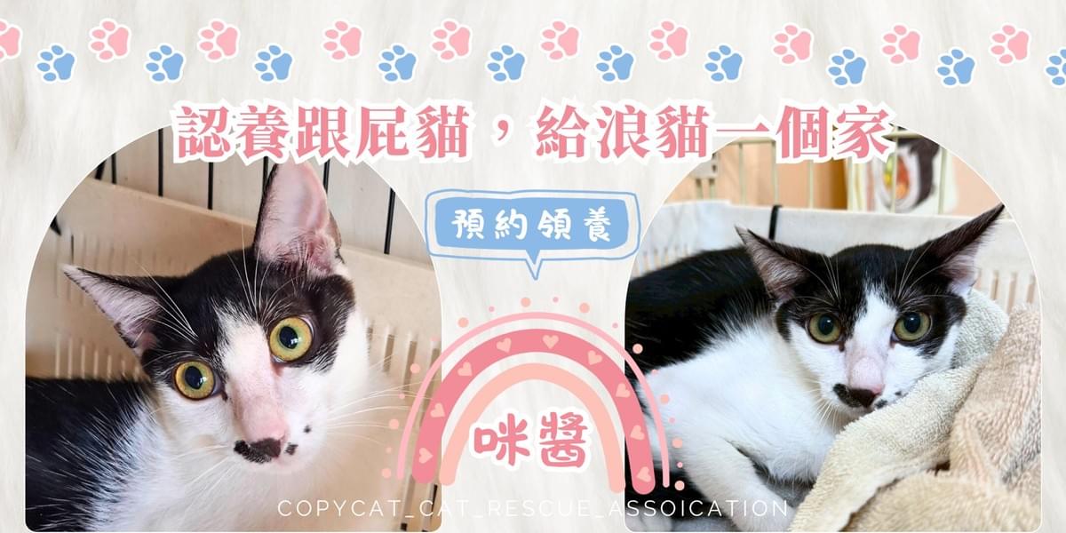 咪醬