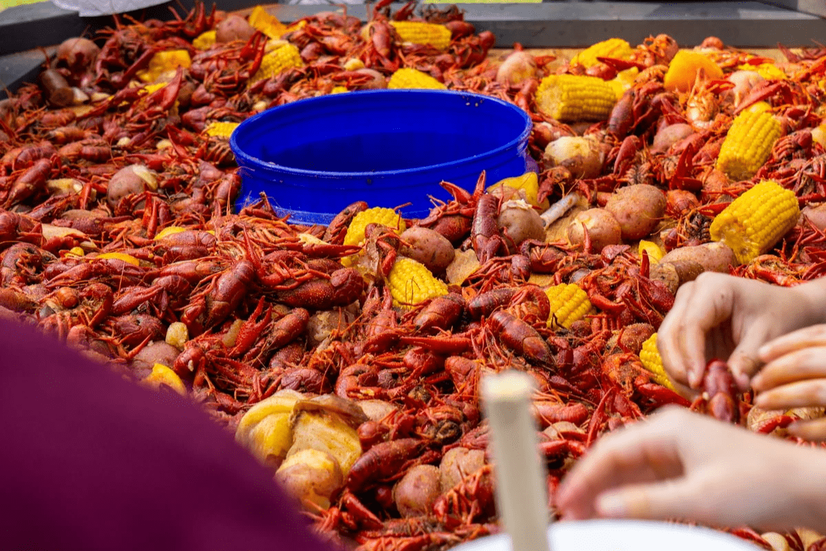 The Crawdad Festival
