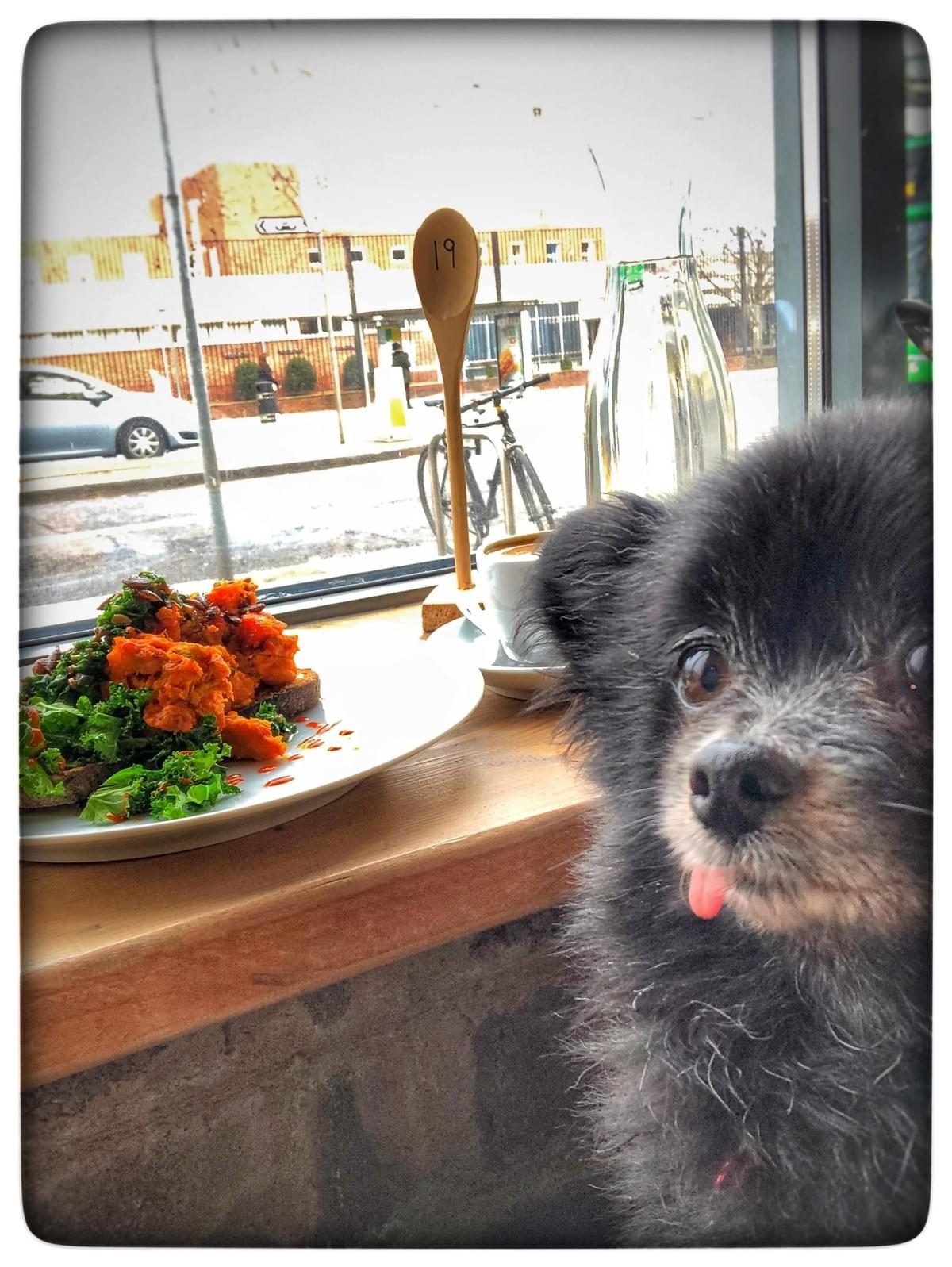 Follow us on Instagram for daily updates