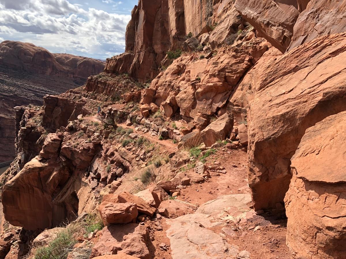 Section image