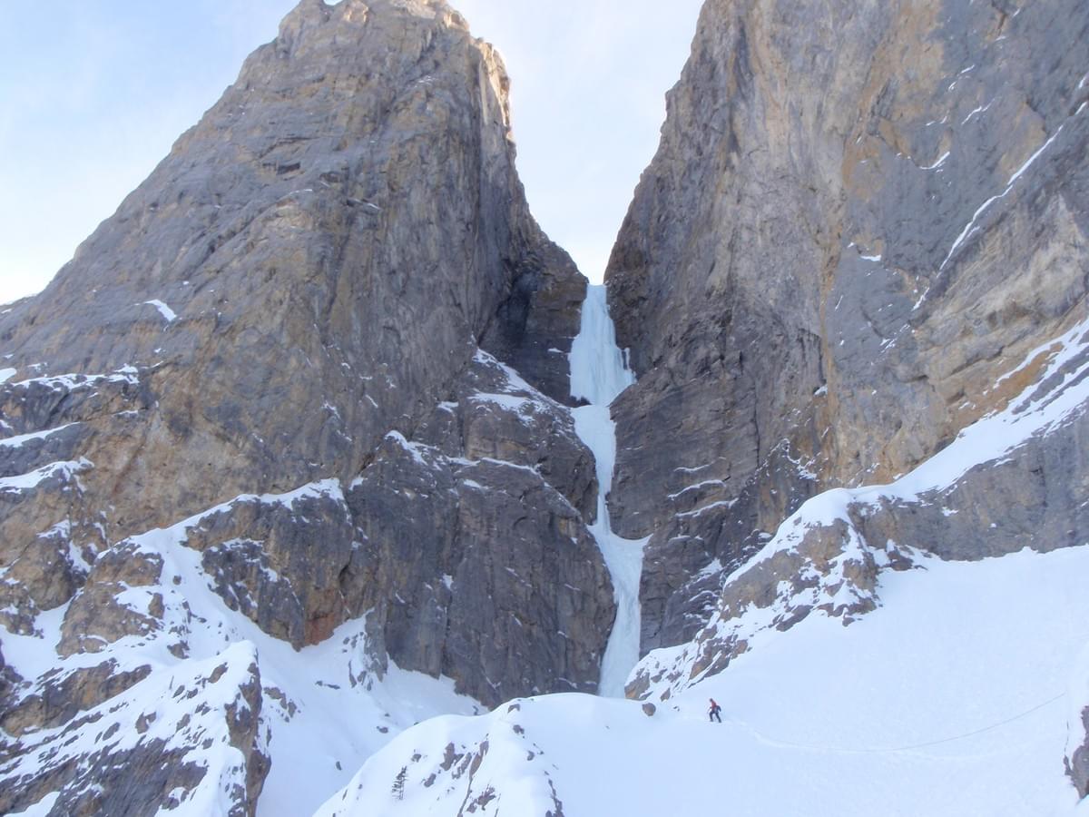Section image