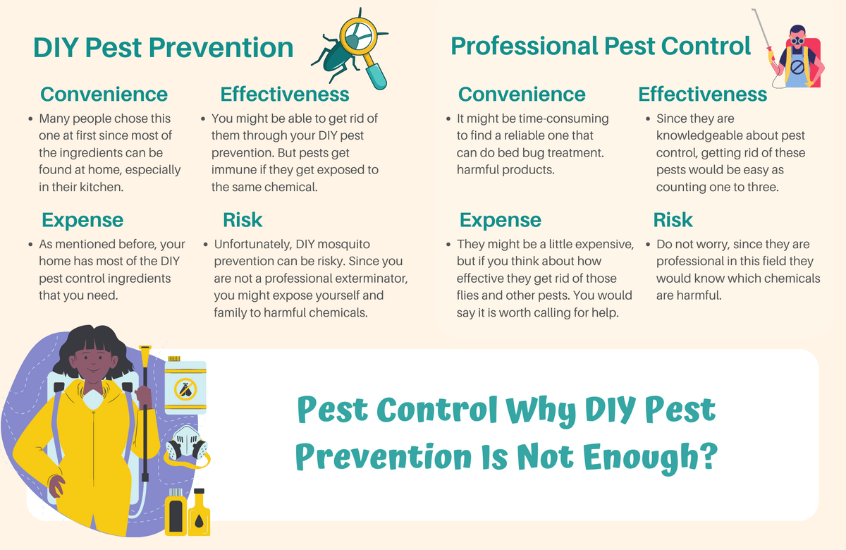 Pest Control Why DIY Pest Prevention Is Not Enough? - P...