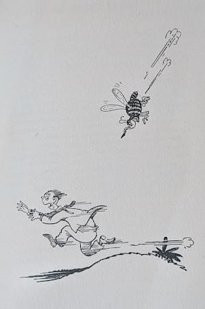 Section image