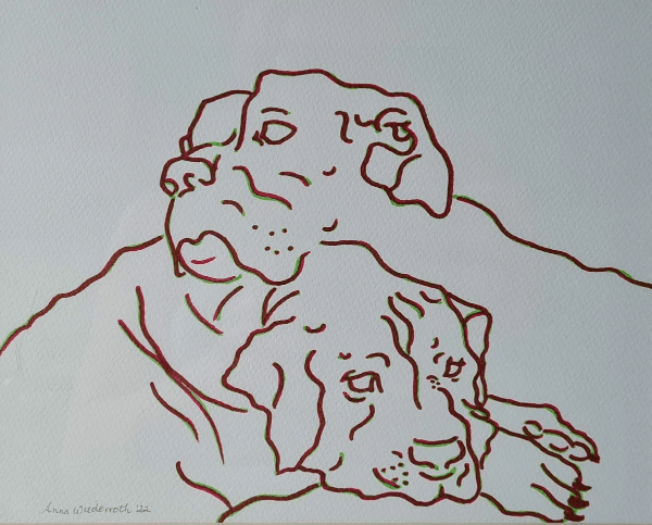 broken image
