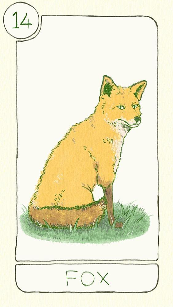 【雷諾曼占卜】狐狸 Fox｜當你開始馴養世界，你也開始學會辨認真心與套路｜把塔羅當成繪本看｜雨露均占｜西洋牌卡骨董店｜塔羅｜雷諾曼｜占卜術