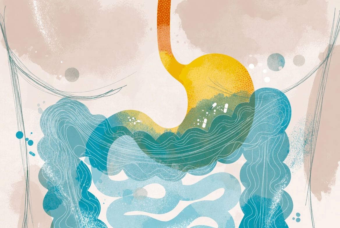 胃食道逆流｜為什麼一直好不了？醫師提醒：問題在「怎麼過生活」｜淺顯易懂的行醫筆記｜療寮診所．板橋江子翠｜家醫科診所．健保一般科