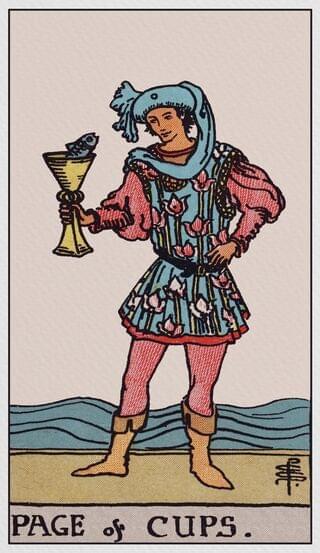 【塔羅分析】聖杯侍衛：情感上的新手，還是初戀？｜雨露均占｜西洋牌卡骨董店｜塔羅｜雷諾曼｜占卜術