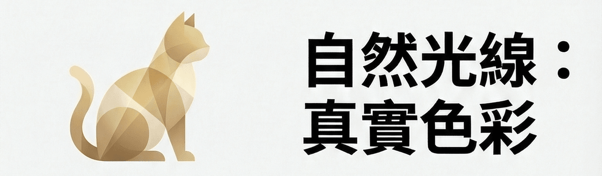春季手作季：老師們看過來！挑選理想創作空間的 5 大「感官指標」｜場地租借FAQ｜療寮生活館｜江子翠．板橋 活動場地 藝文空間