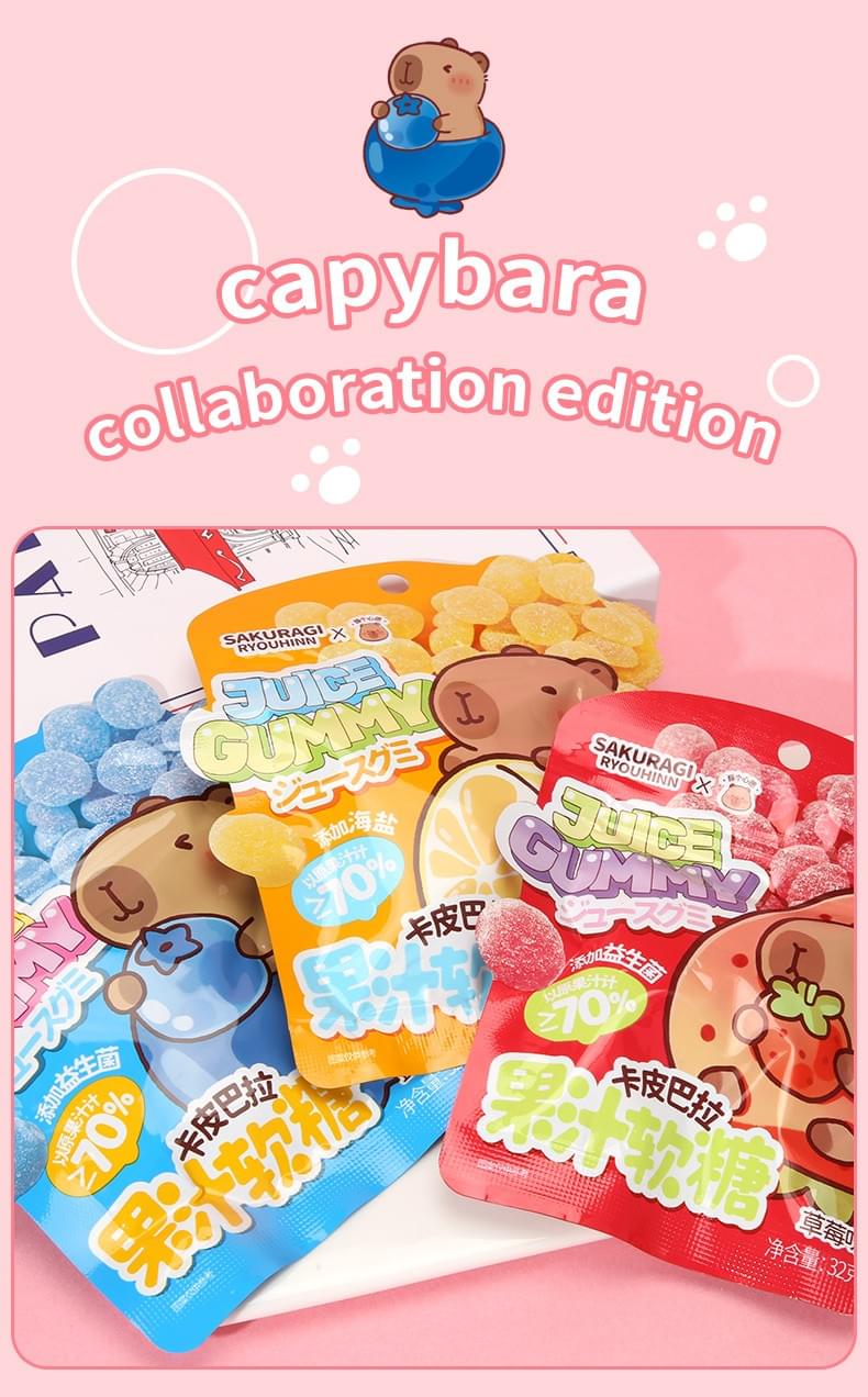 32g Fruit Juice Gummies