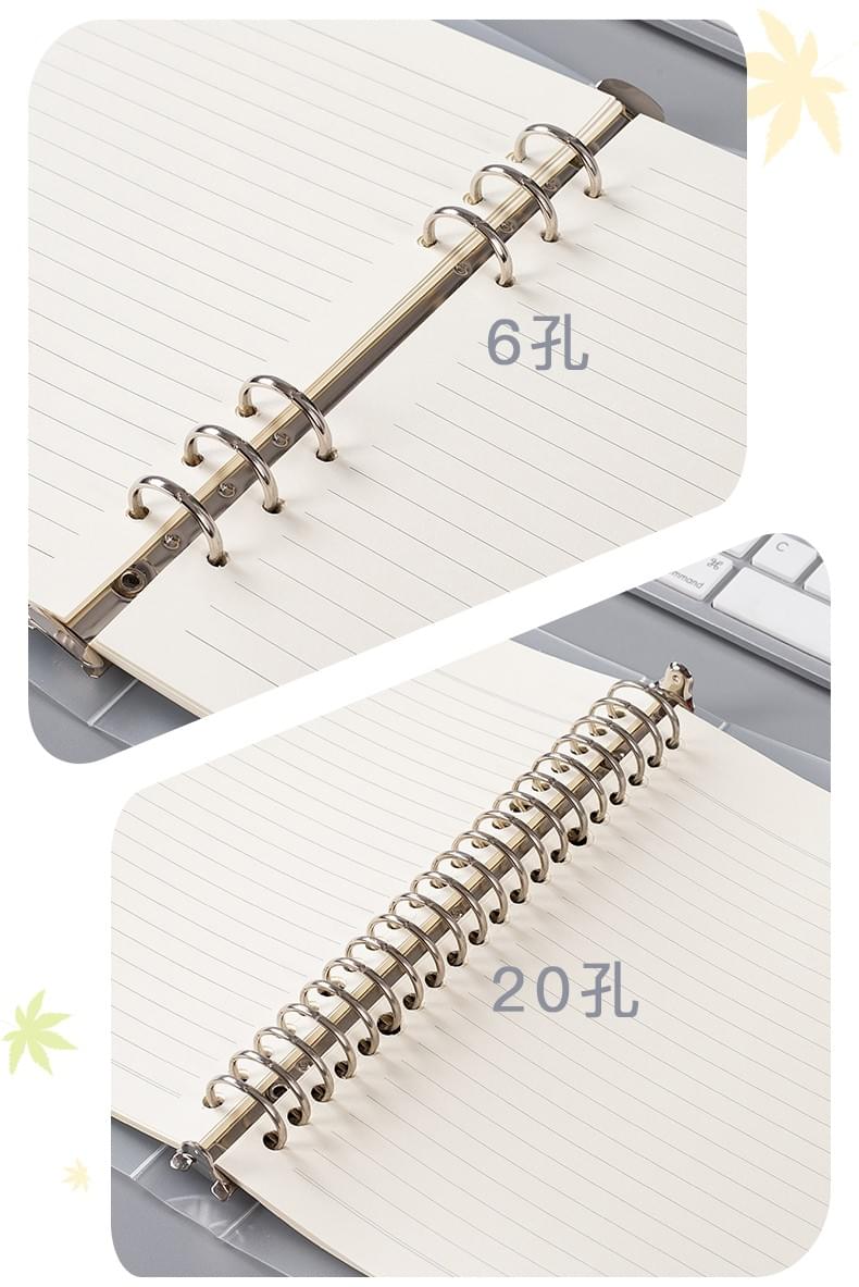 Loose-leaf clips