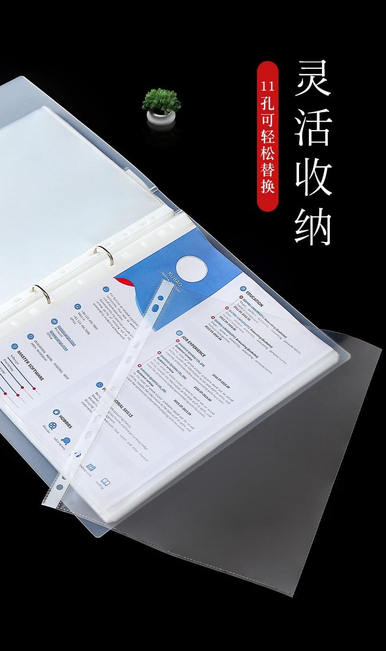 11 hole loose leaf A4 transparent