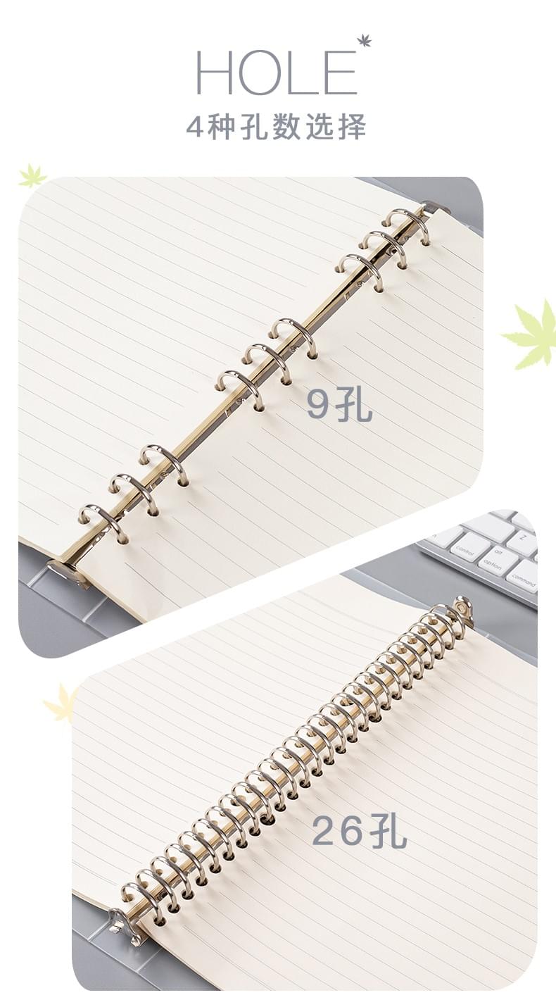 Loose-leaf clips