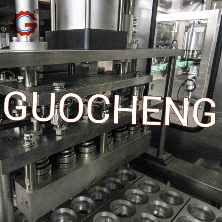 Bottle Filling Packaging Machine