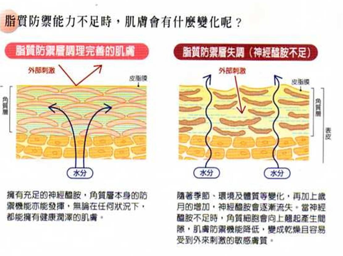 荷米多 hemido 再生肌密晶鑽系列 欣生肌蠶絲精華