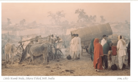 Photo of people with bullocks