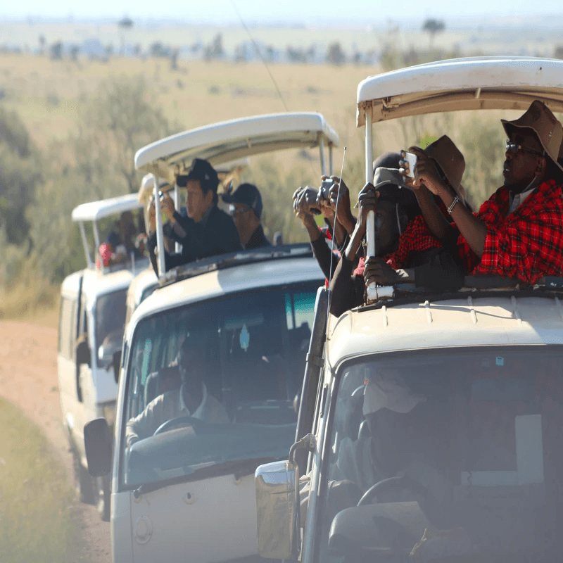 Safari group in jeep taking photos