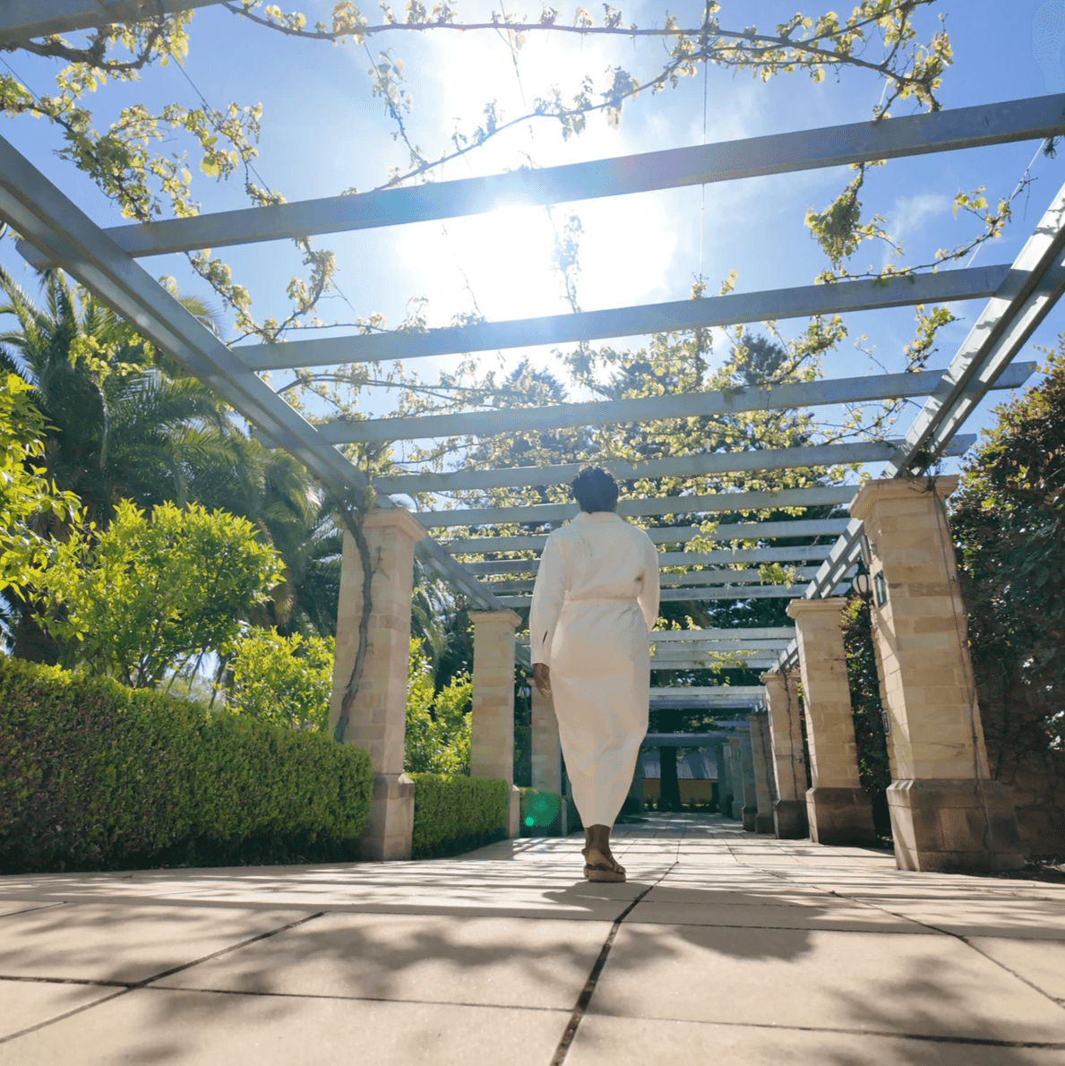 Walking through Barossa Valley