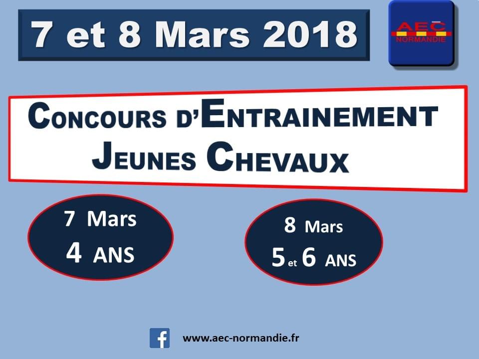 JEUNES CHEVAUX