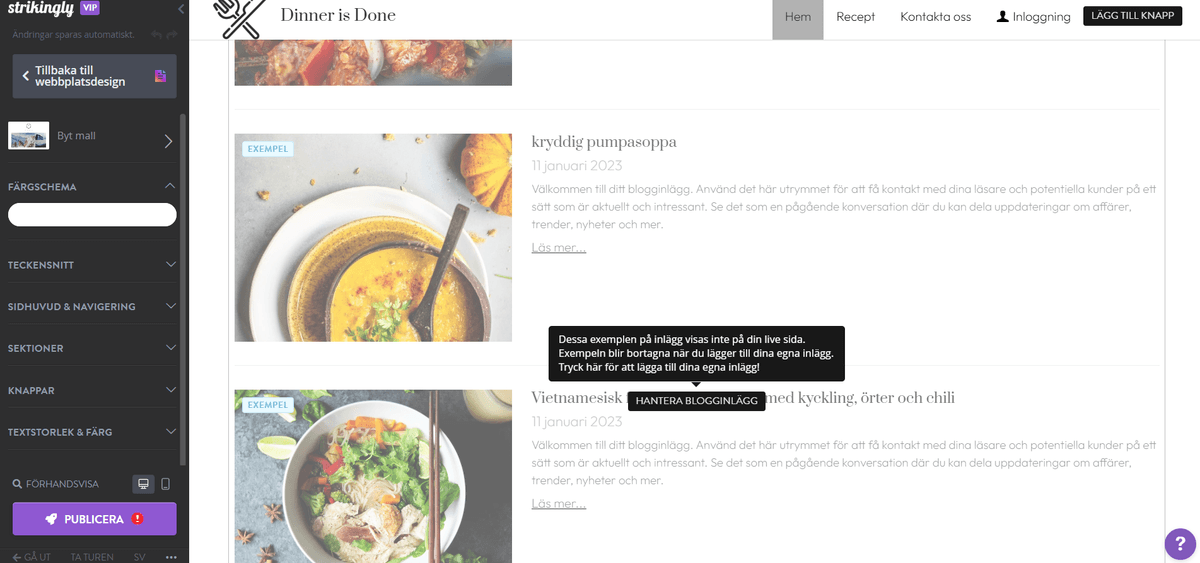 Strikingly: Ett oumbärligt verktyg för en digital entreprenör