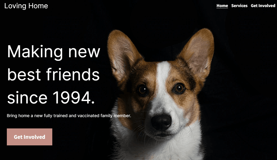 Caractéristiques d'une plateforme réussie d'adoption d'animaux