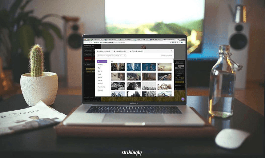 Designa en Strikingly Webbplats för att Visa YouTube Shorts