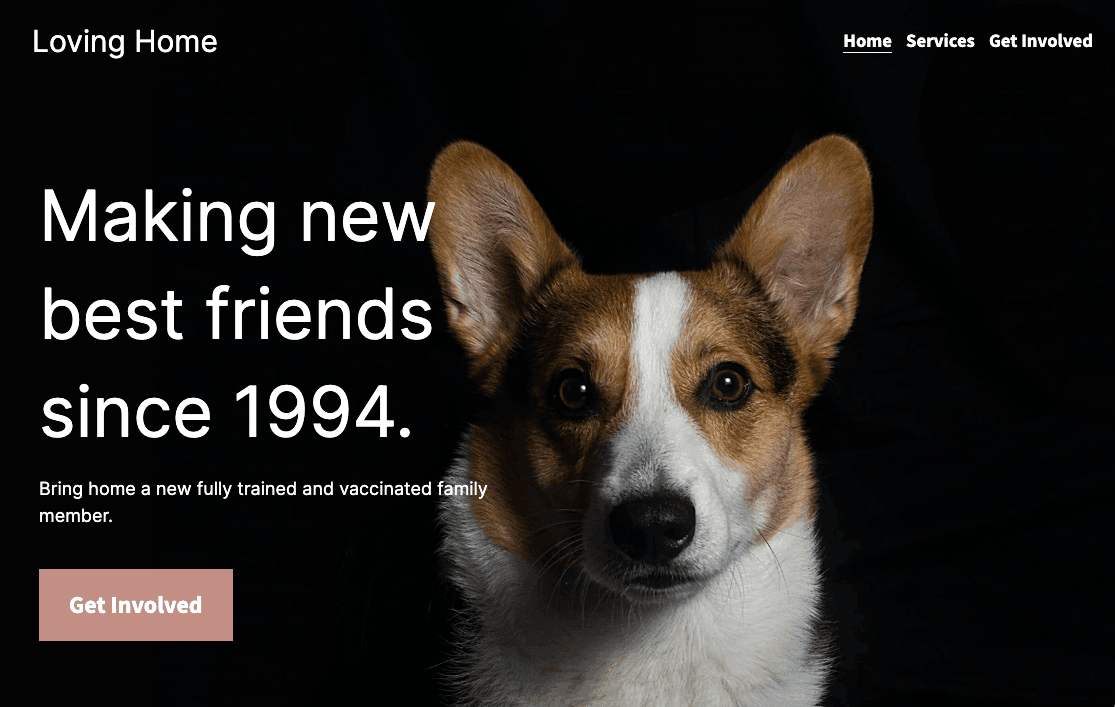 Skapa ett unikt varumärke för din husdjursverksamhet