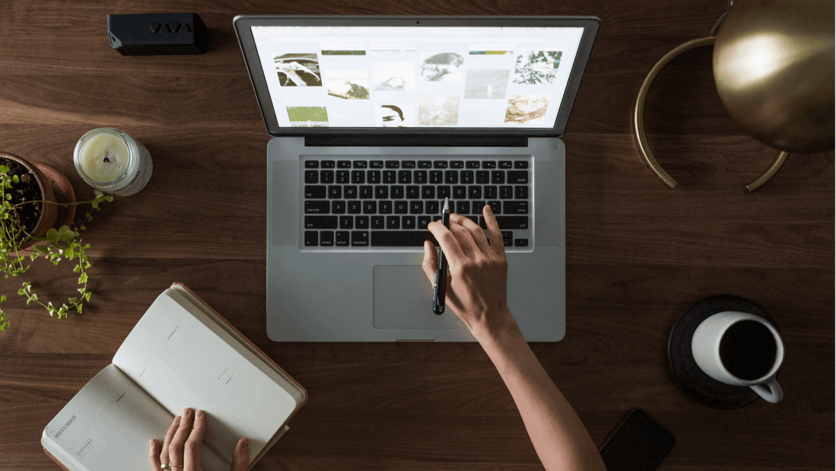 10 Tendances Dominantes du Design Web pour 2024