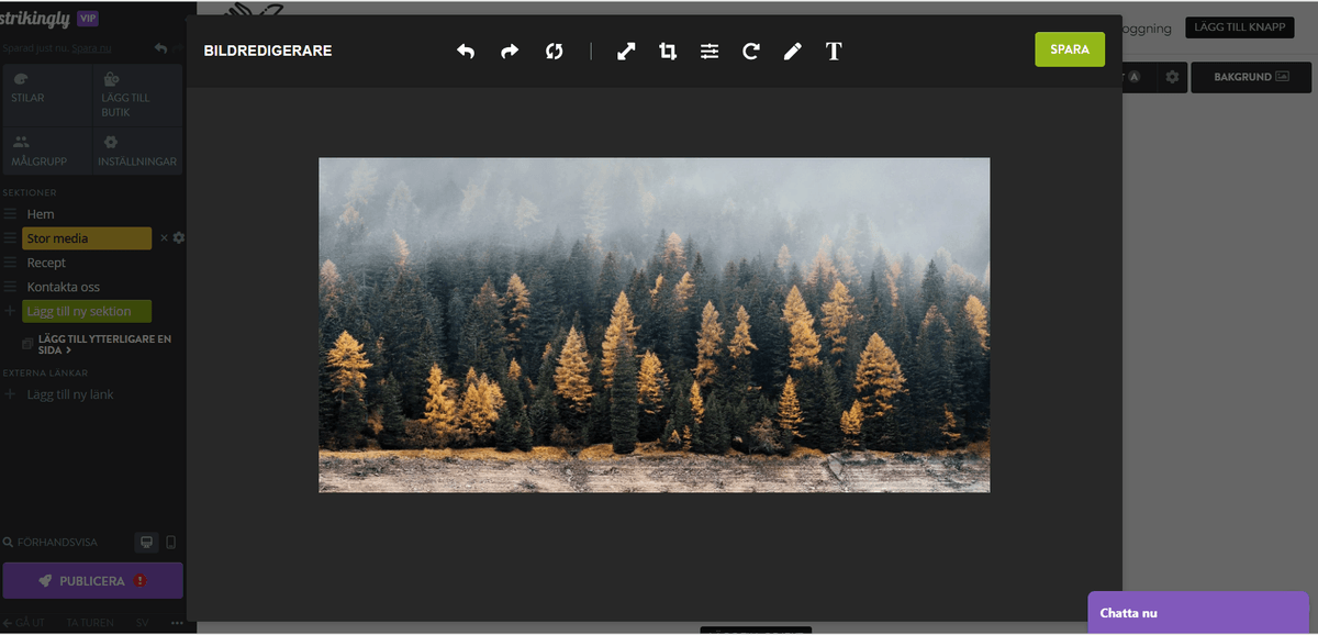Hur Strikingly kan Förbättra Din Bildredigeringsupplevelse