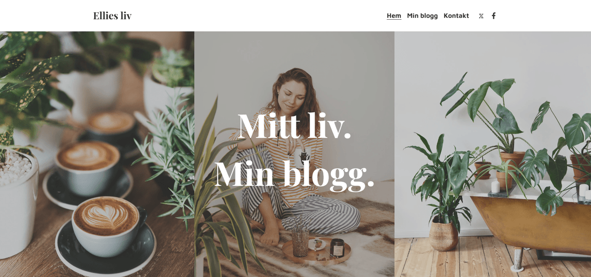 Hur kan Strikingly hjälpa till med professionell utveckling?