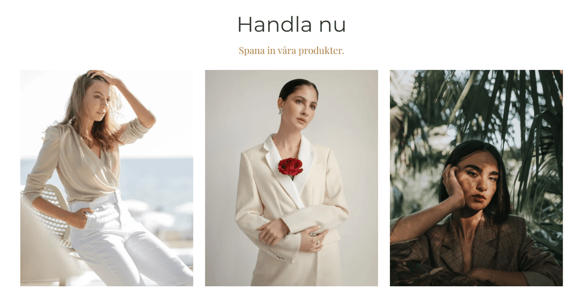 Utnyttja Strikinglys e-handel mallar