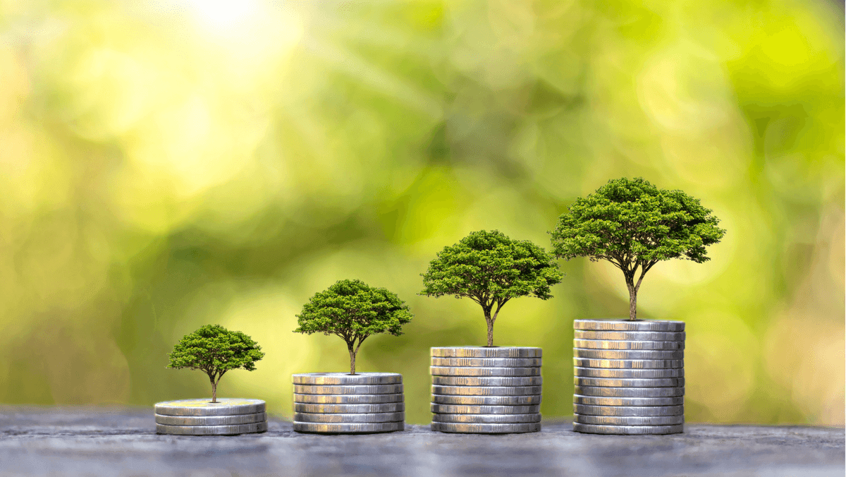 Les 6 meilleures plateformes interactives d'éducation financière pour 2025
