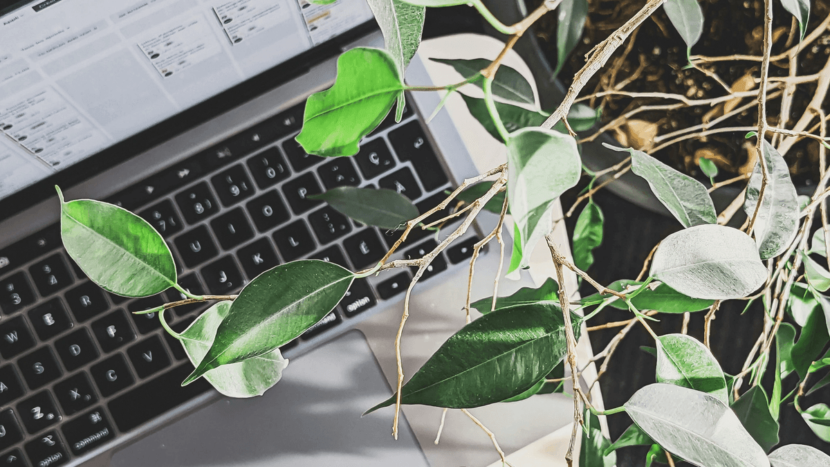 Explorez des idées de conception de sites Web éco-responsables époustouflantes