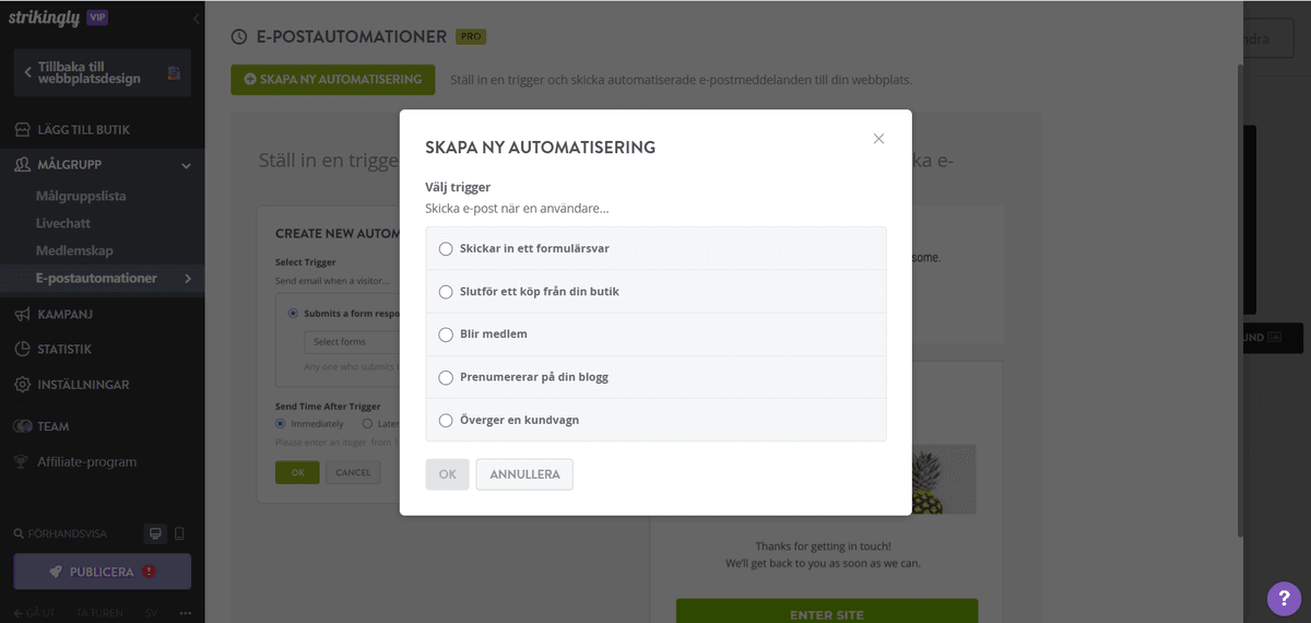 Segmenterade e-postkampanjer 