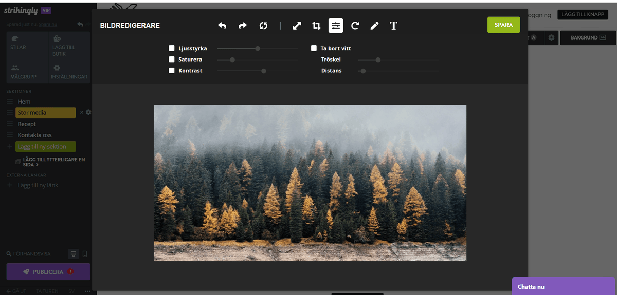 Hur lägger du till vektorkonst på en Strikingly-webbplats?