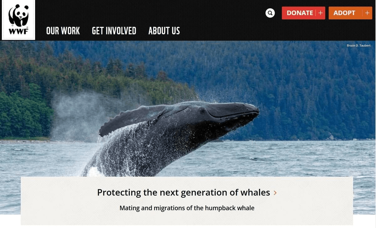  Fonds mondial pour la nature