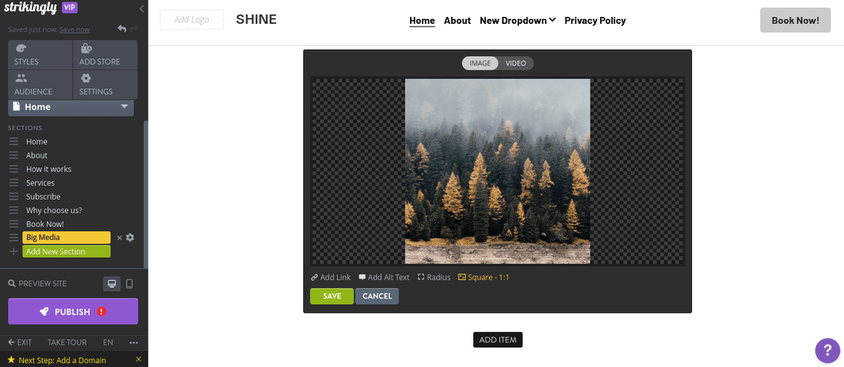 Cách Thêm Đồ Hoạ Vector Vào Trang Web Strikingly