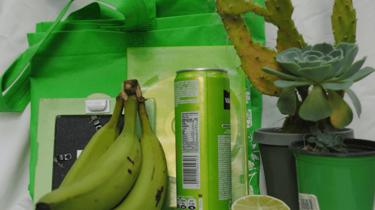 Construisez efficacement votre marque verte