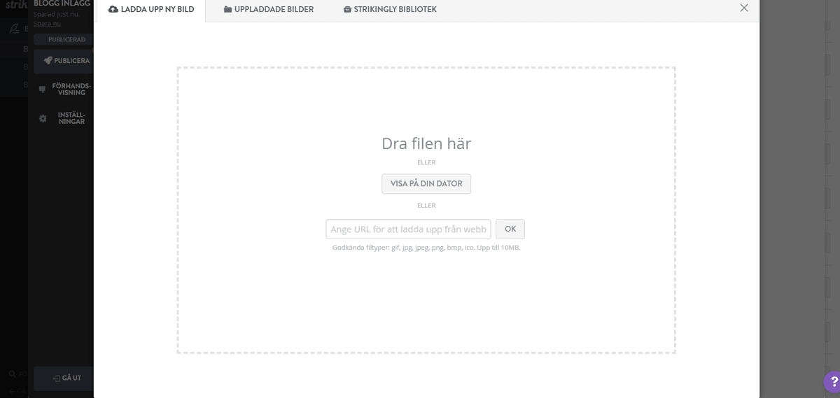 Hur lägger du till vektorkonst på en Strikingly-webbplats?
