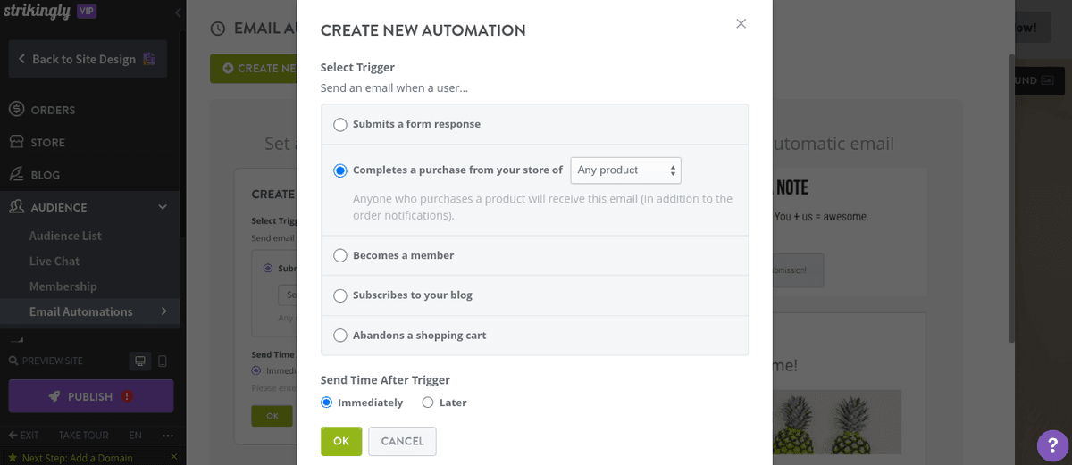 Phân Đoạn Danh Sách Email Của Bạn