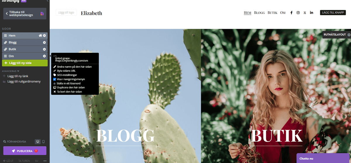 Hur kan Strikingly hjälpa till med SEO?