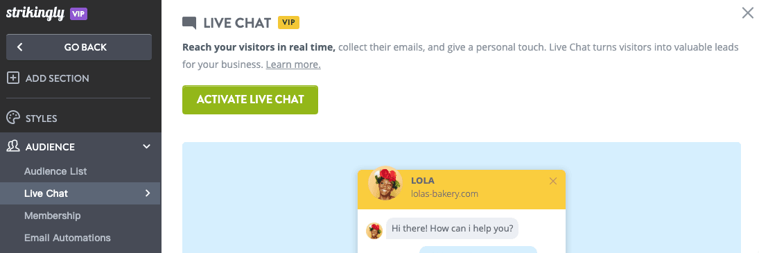 Kích Hoạt Trò Chuyện Trực Tuyến Trên Trang Web Strikingly Của Bạn