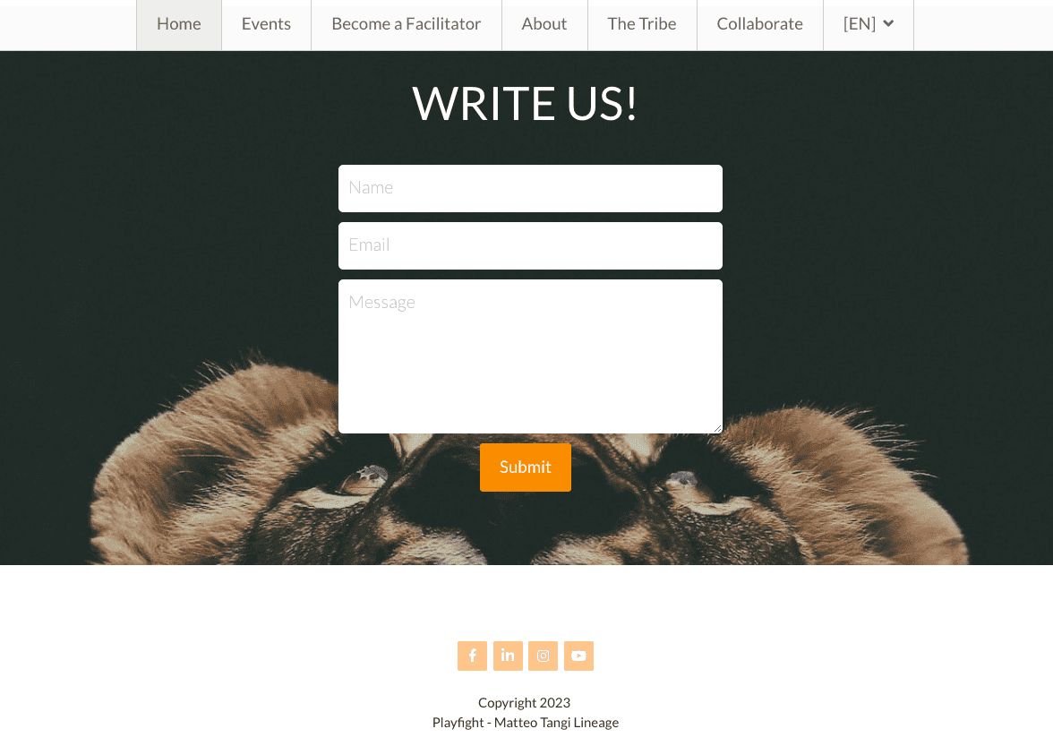 Erreurs Courantes à Éviter dans les Tests de Sites Web