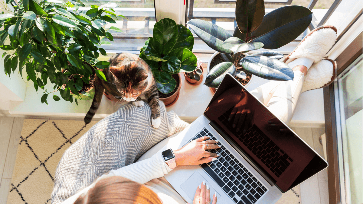 Les 6 meilleurs créateurs de portfolio freelance pour réussir en 2025