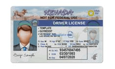 drivers license template ontario