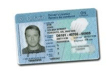 drivers license template ontario