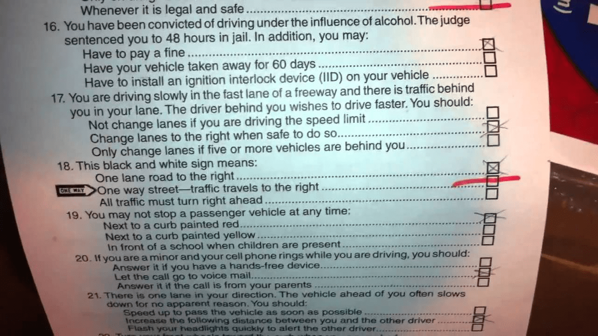Dmv Florida. Check Florida dmv driver license check