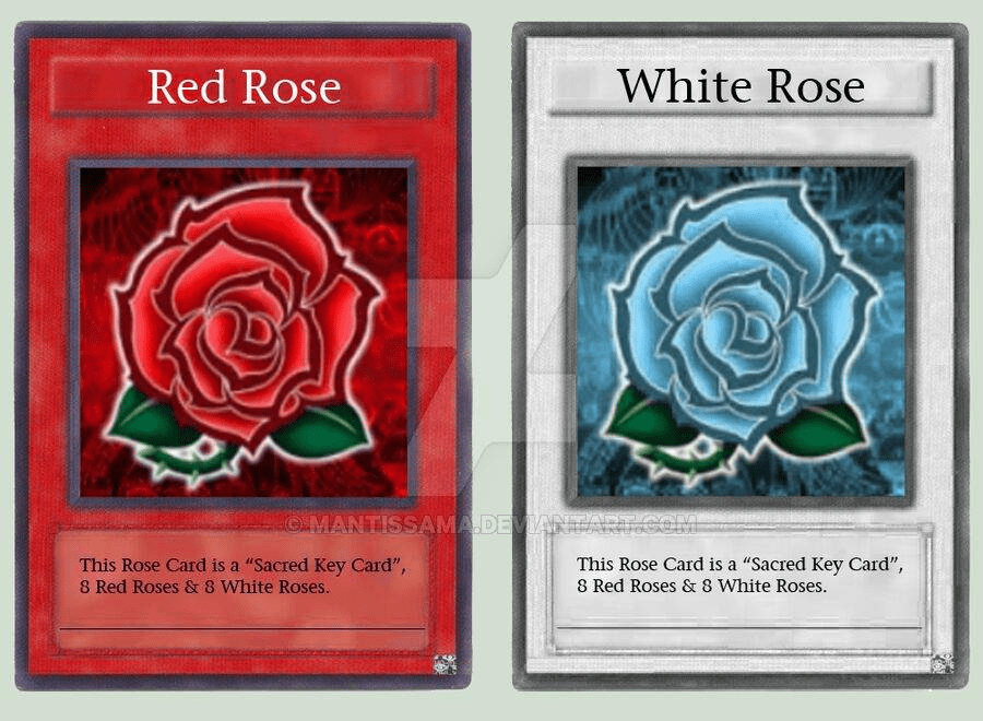 sunavalon yugioh deck Amazon.com: Yu-Gi-Oh!