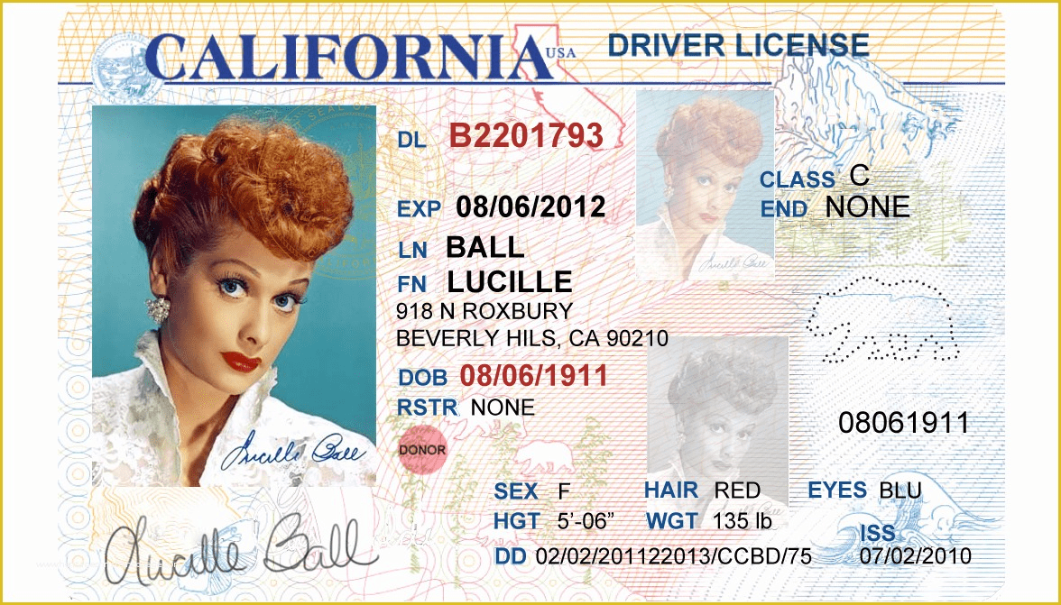 Driver license template psd free