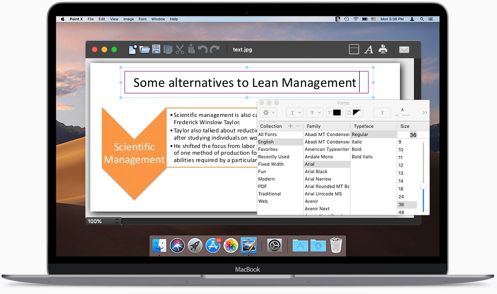 What is like paint for mac