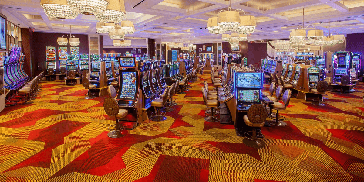 Seminole hard rock hotel casino tampa tampa